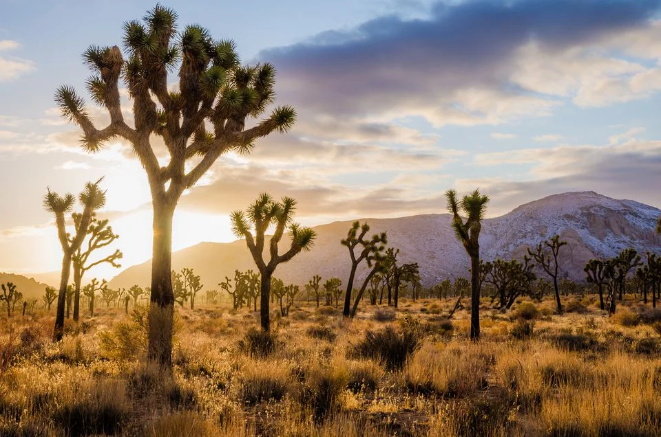 What National Park Should You Visit