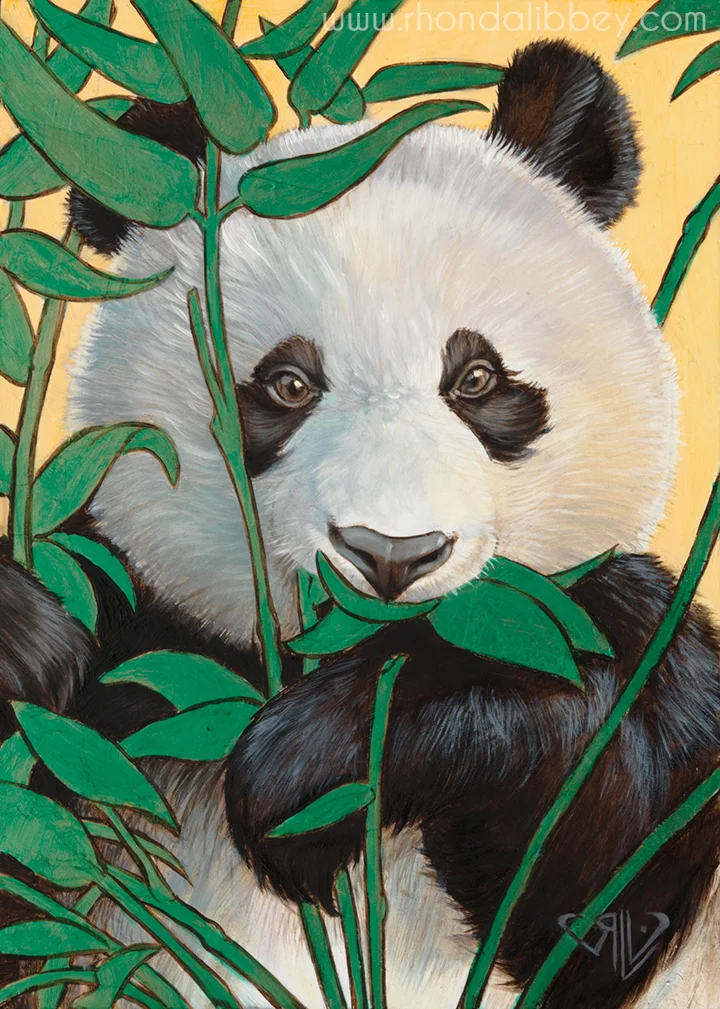 Panda