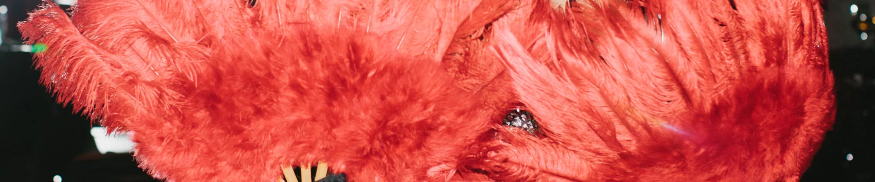 Red-Feather-Fan-for-Burlesque-Dance.jpg