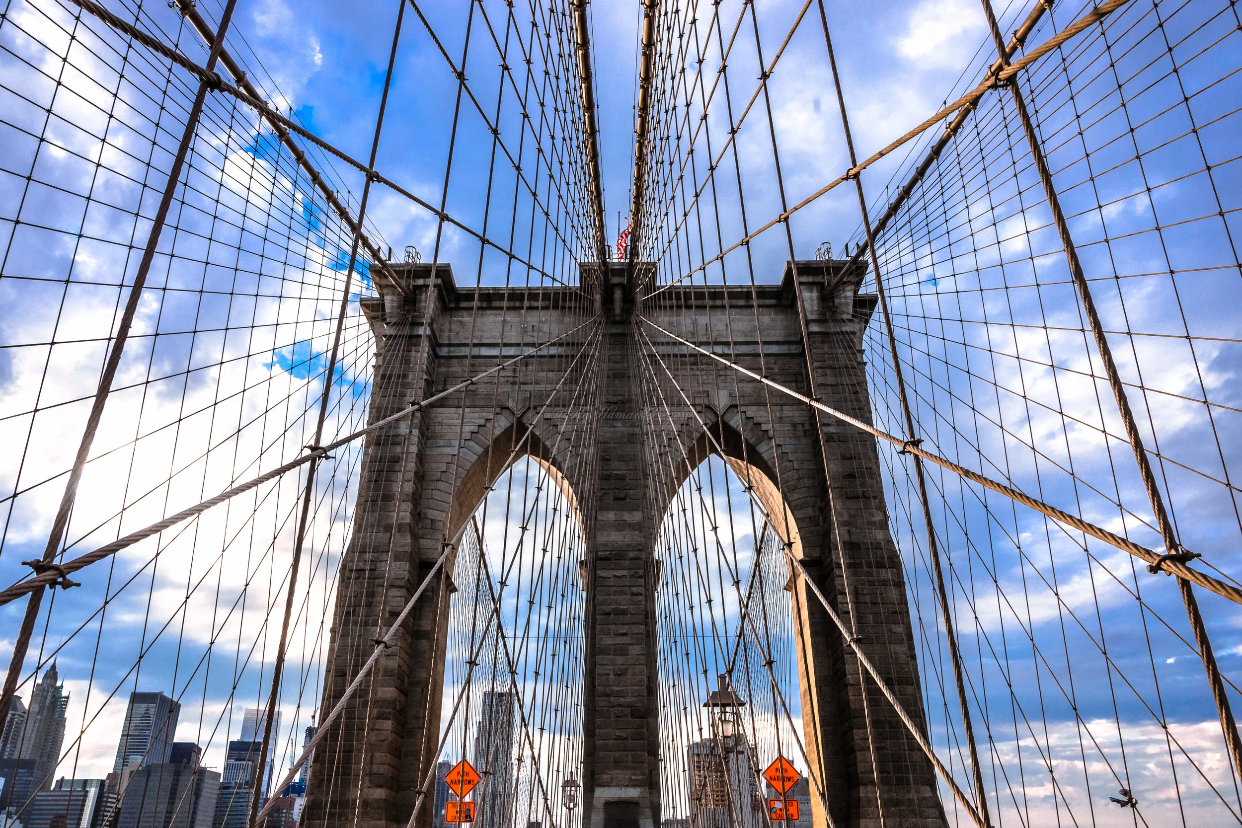 BROOKLYN BRIDGE image by @flyhumanbeyond O'luyemi N'namdi-4.jpg