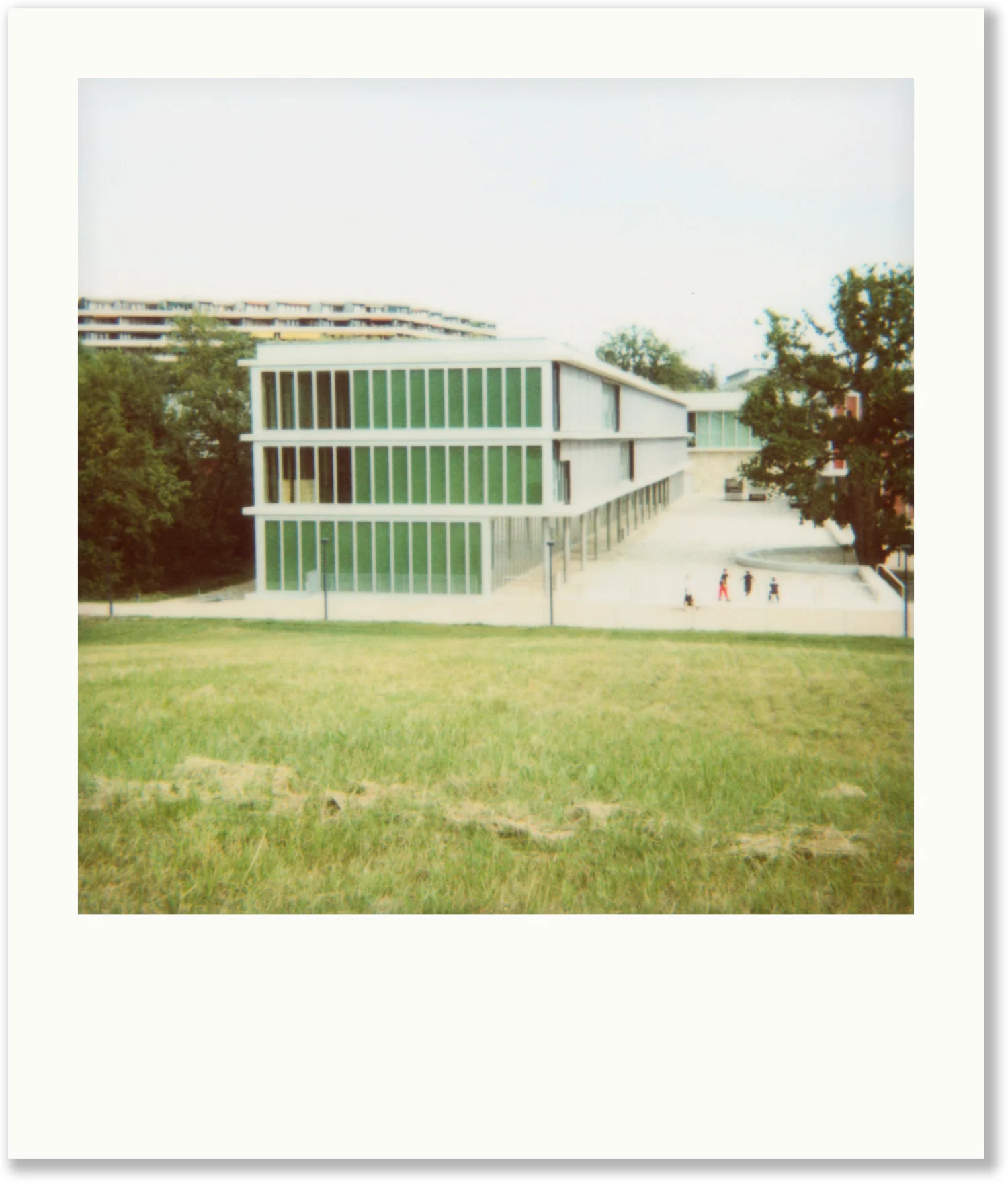 Polaroid_04.jpg