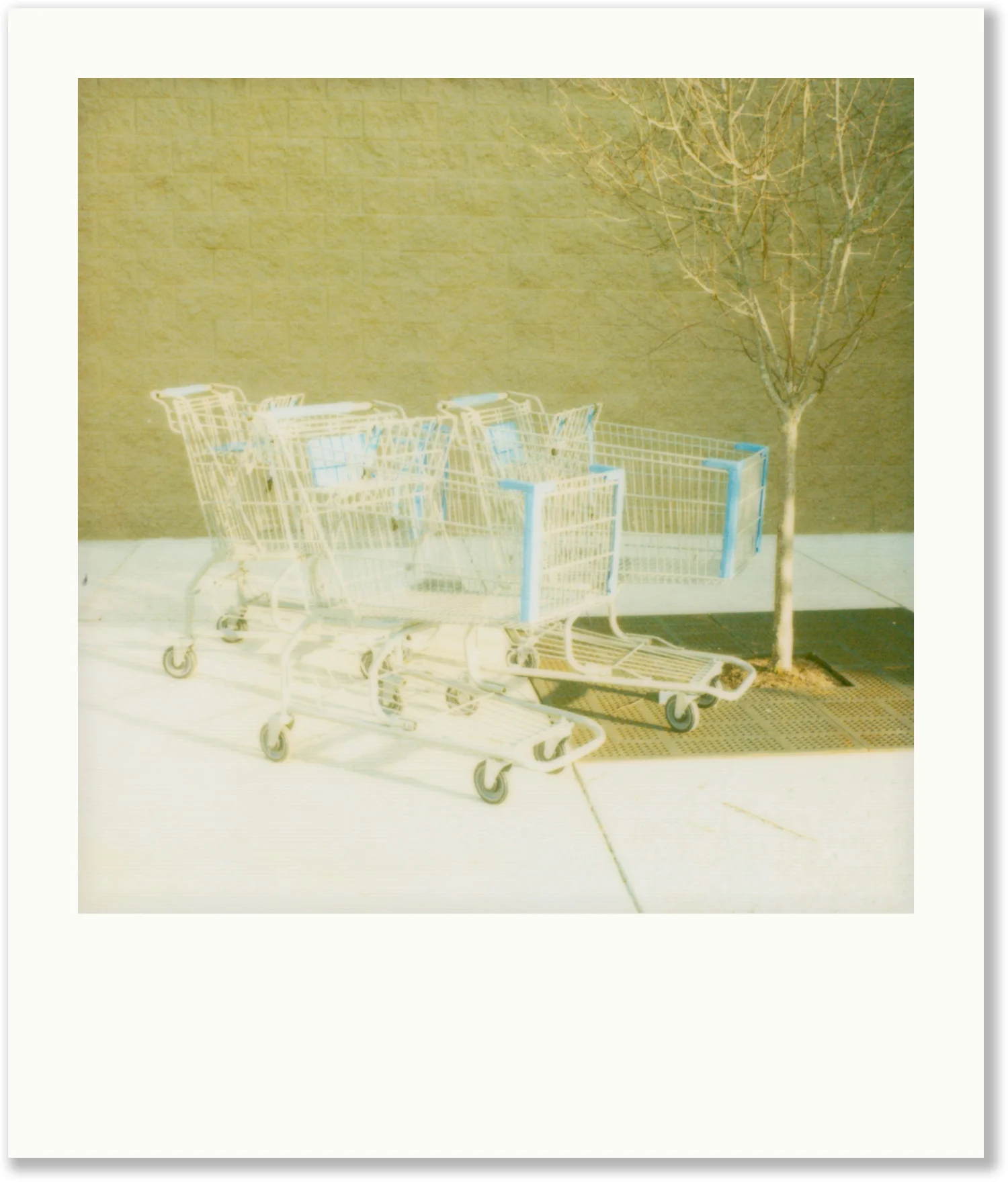 Polaroid_20.jpg