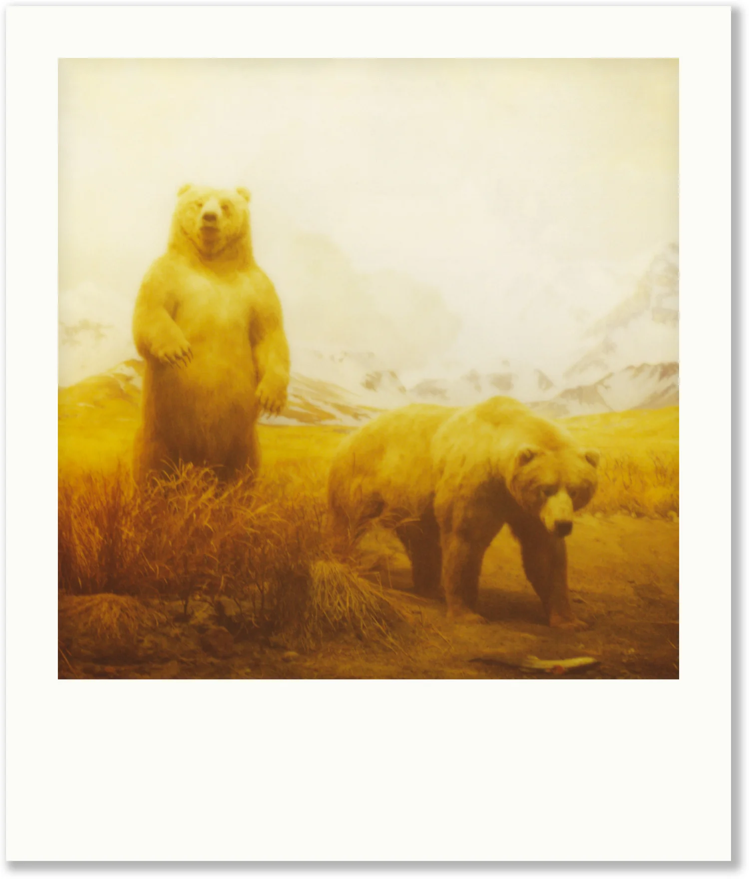 Polaroid_30.jpg