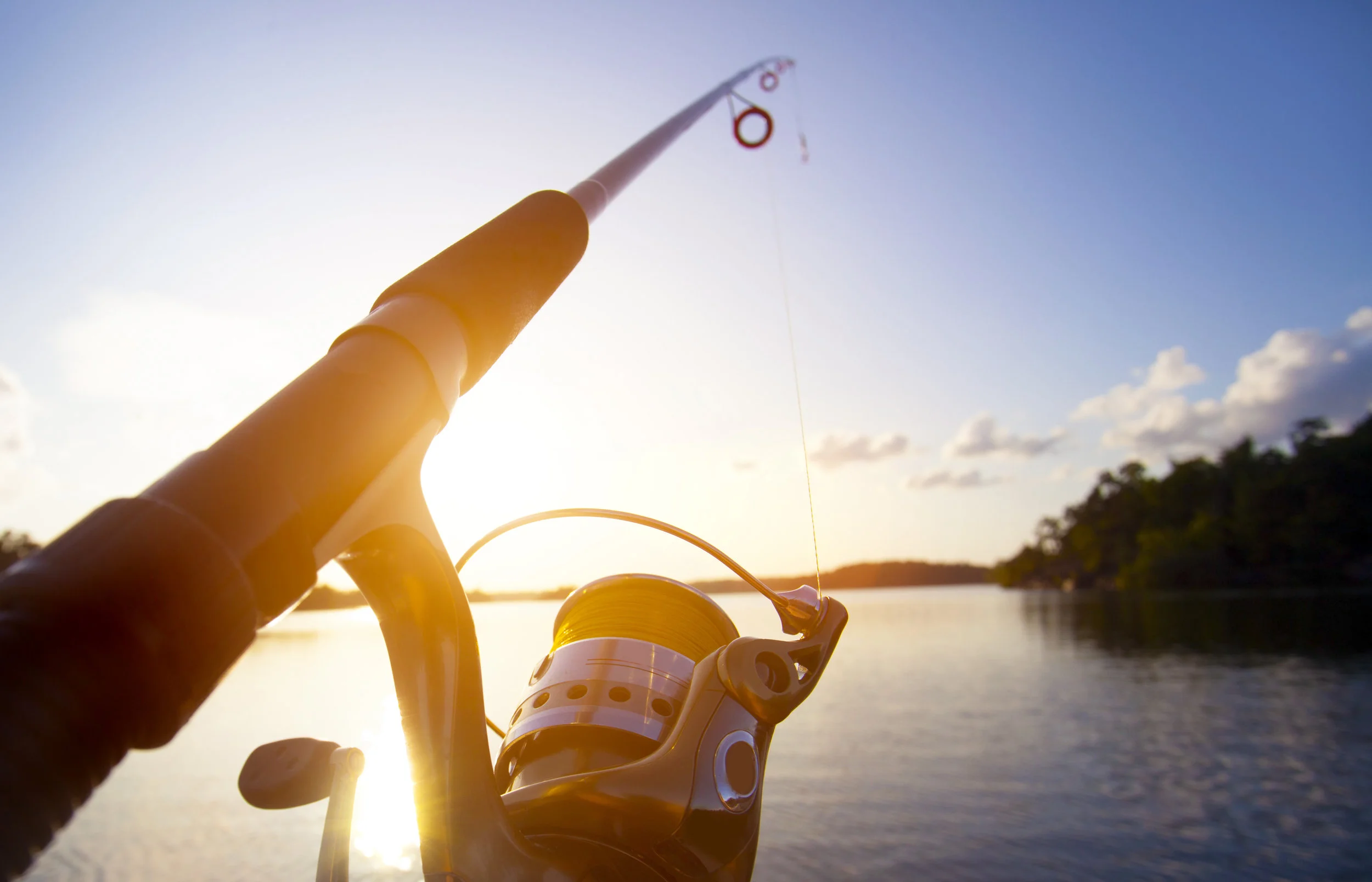 fishing-line.jpeg