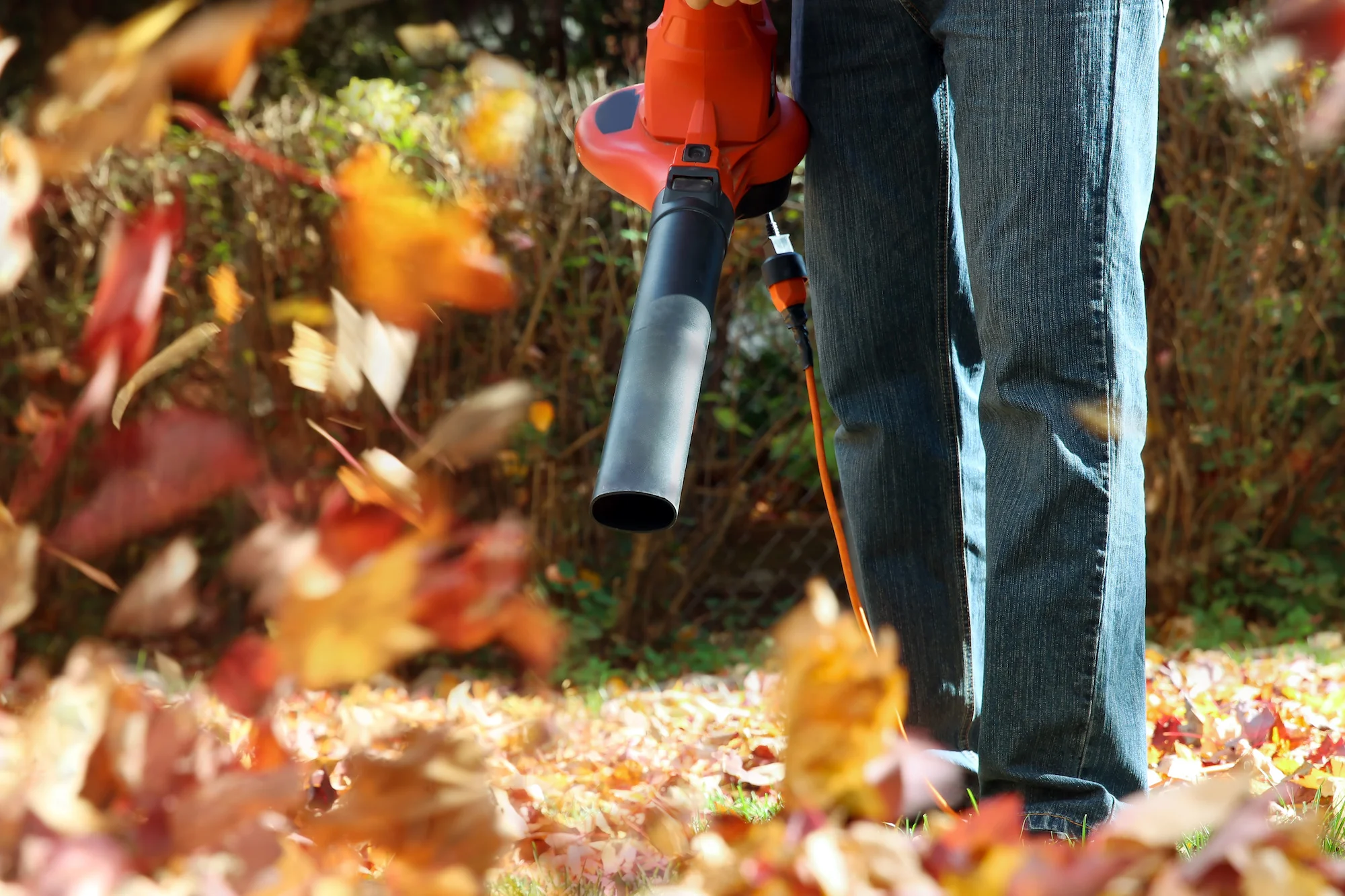leaf-blower.jpeg