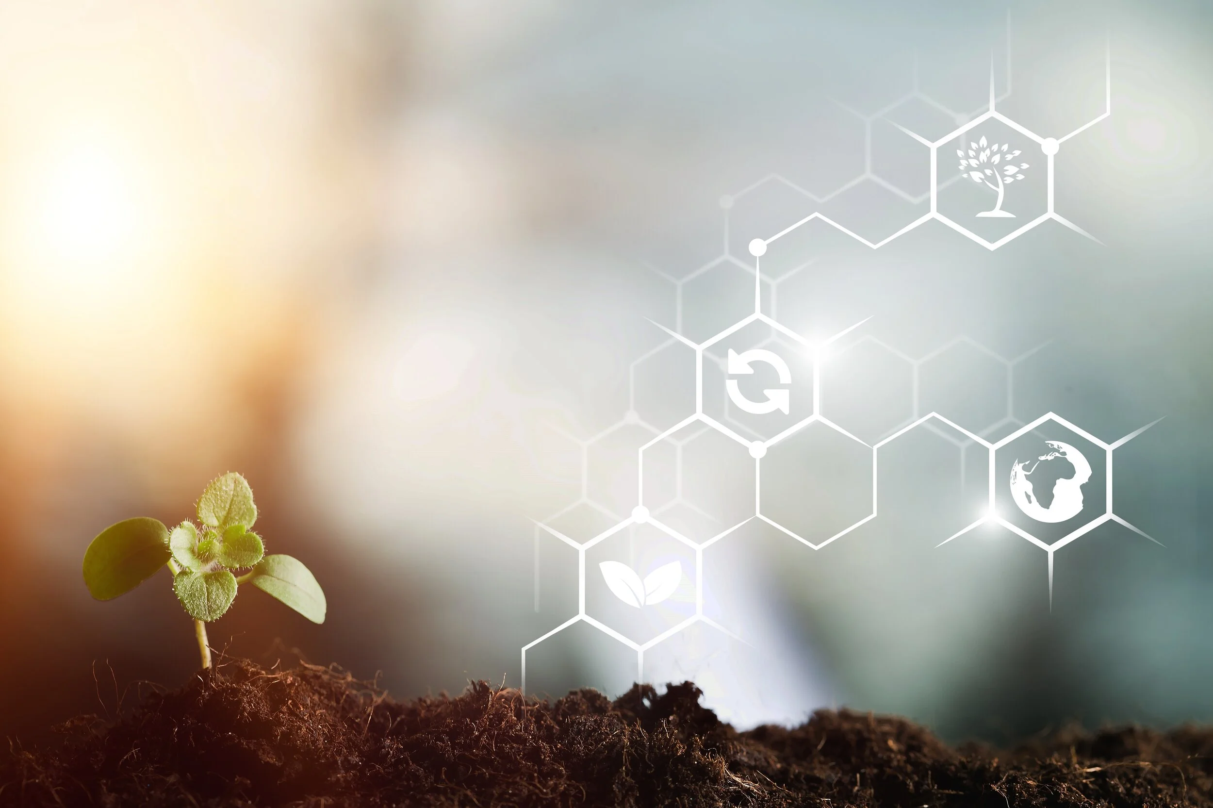 Topics in Sustainability: Bio-Based Raw Materials.  