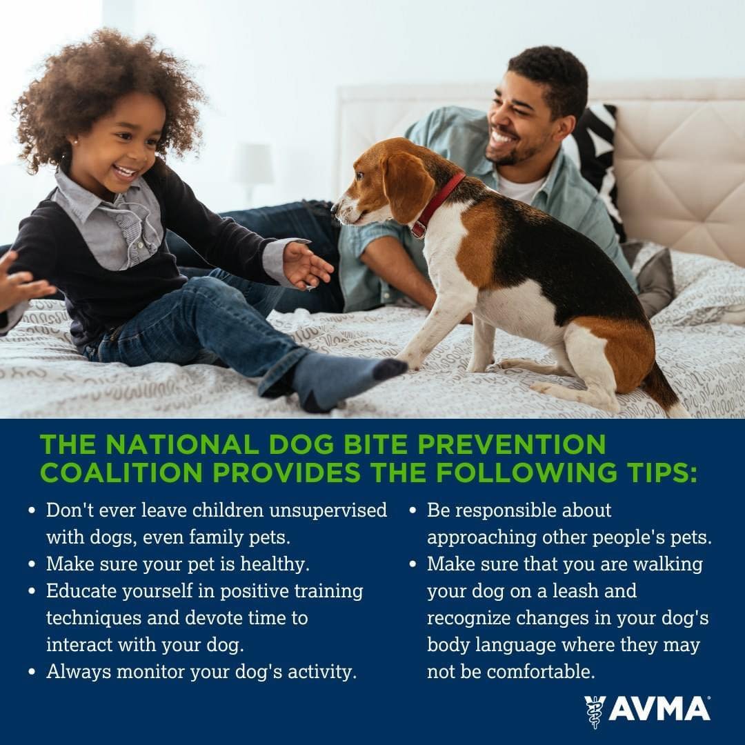 This week is National Dog Bite Prevention Week so for this Tuesday Tip, we want to share a few things that we as pet parents should keep in mind to prevent dog bites. 

📚Educate Yourself: Learn about canine body language and behavior.

🫡Respect Bou