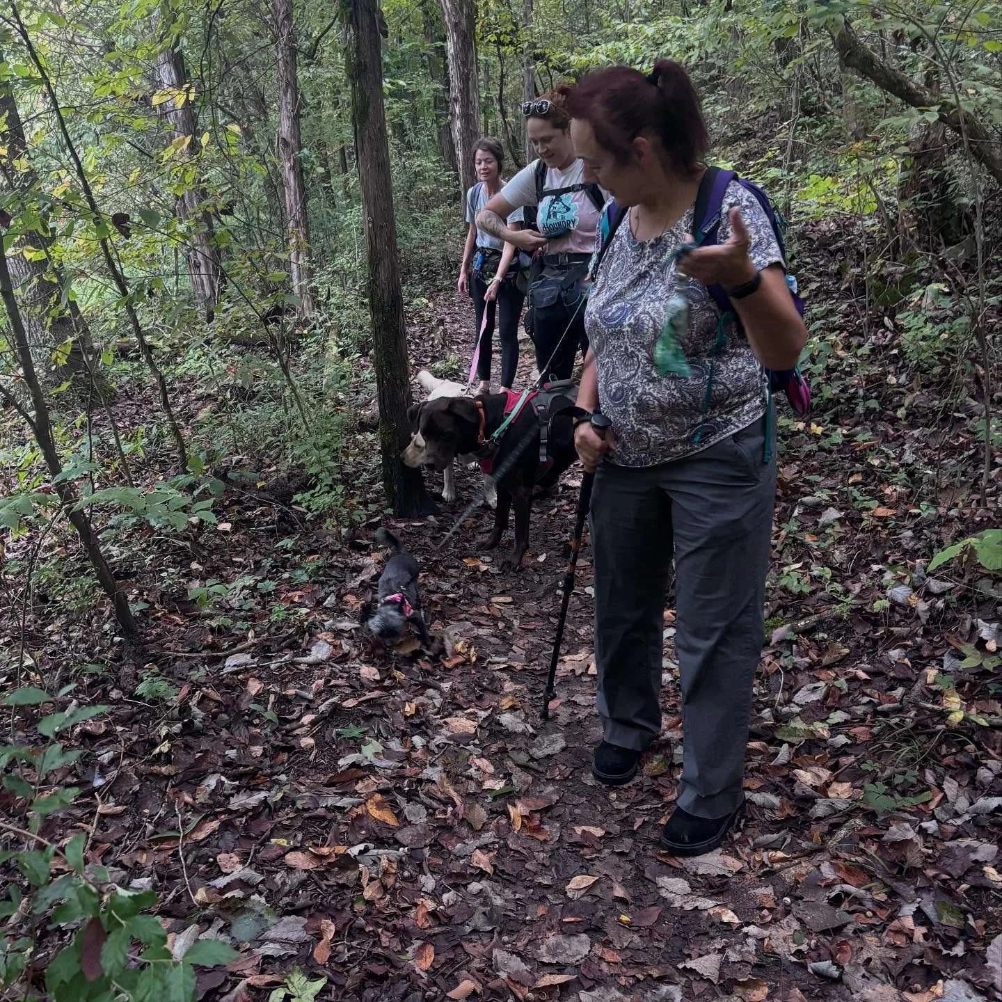 🌲🐾 Thank you to everyone who joined us for today&rsquo;s Community Dog Hike! Even though the storms rolled in and cut our adventure short, we had such a great time exploring the trails together. The pups brought so much joy, energy, and muddy paw p
