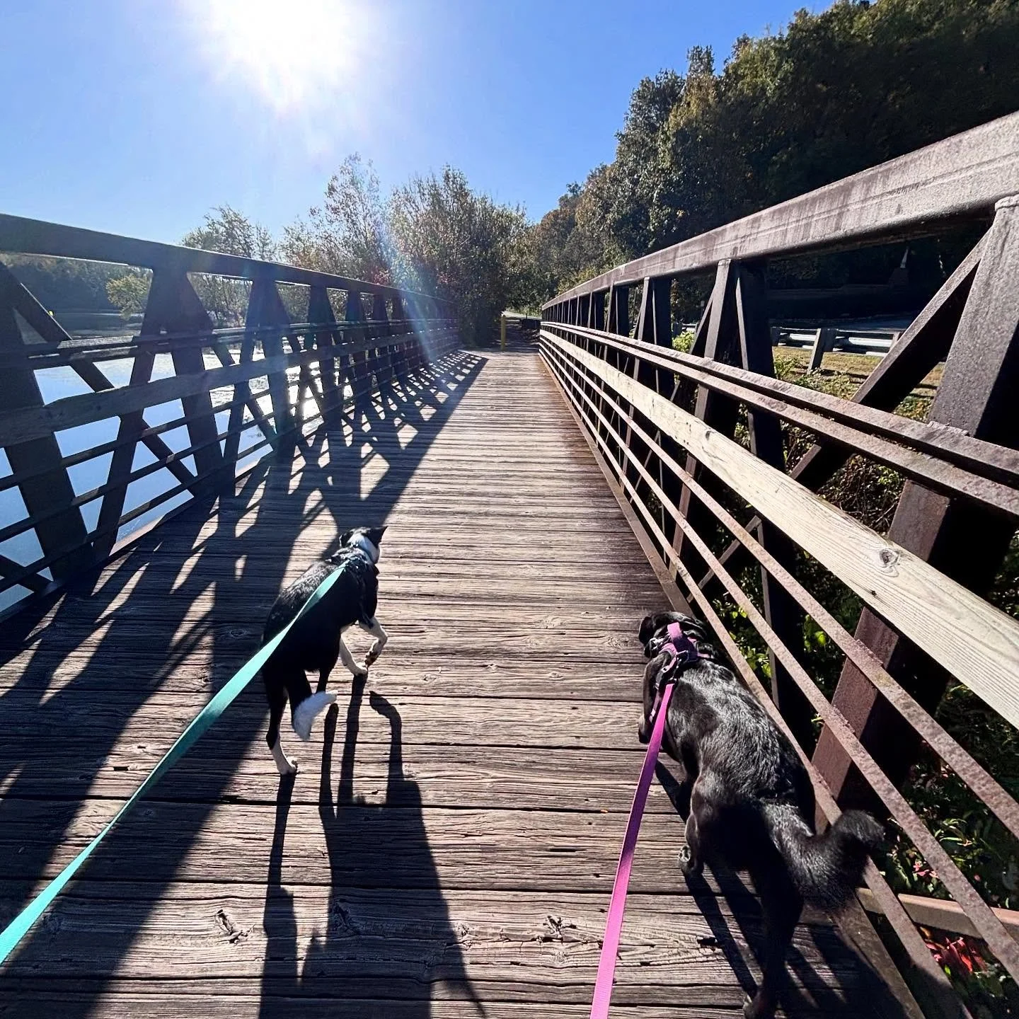 Felt like its really Fall today! 🍂