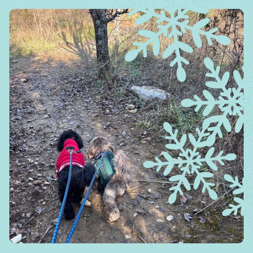 🎁 Scenic trails where our pups love to roam,
Sniffing, exploring&mdash;Oak Ridge feels like home. 🌲🐕