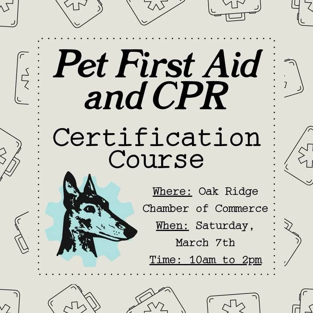 🐾 Be Prepared When Your Pet Needs You Most 🐾

Emergencies happen when we least expect them &mdash; would you know what to do if your dog or cat needed immediate care?

Join us March 7th from 10am&ndash;2pm for a Pet First Aid &amp; CPR Certificatio