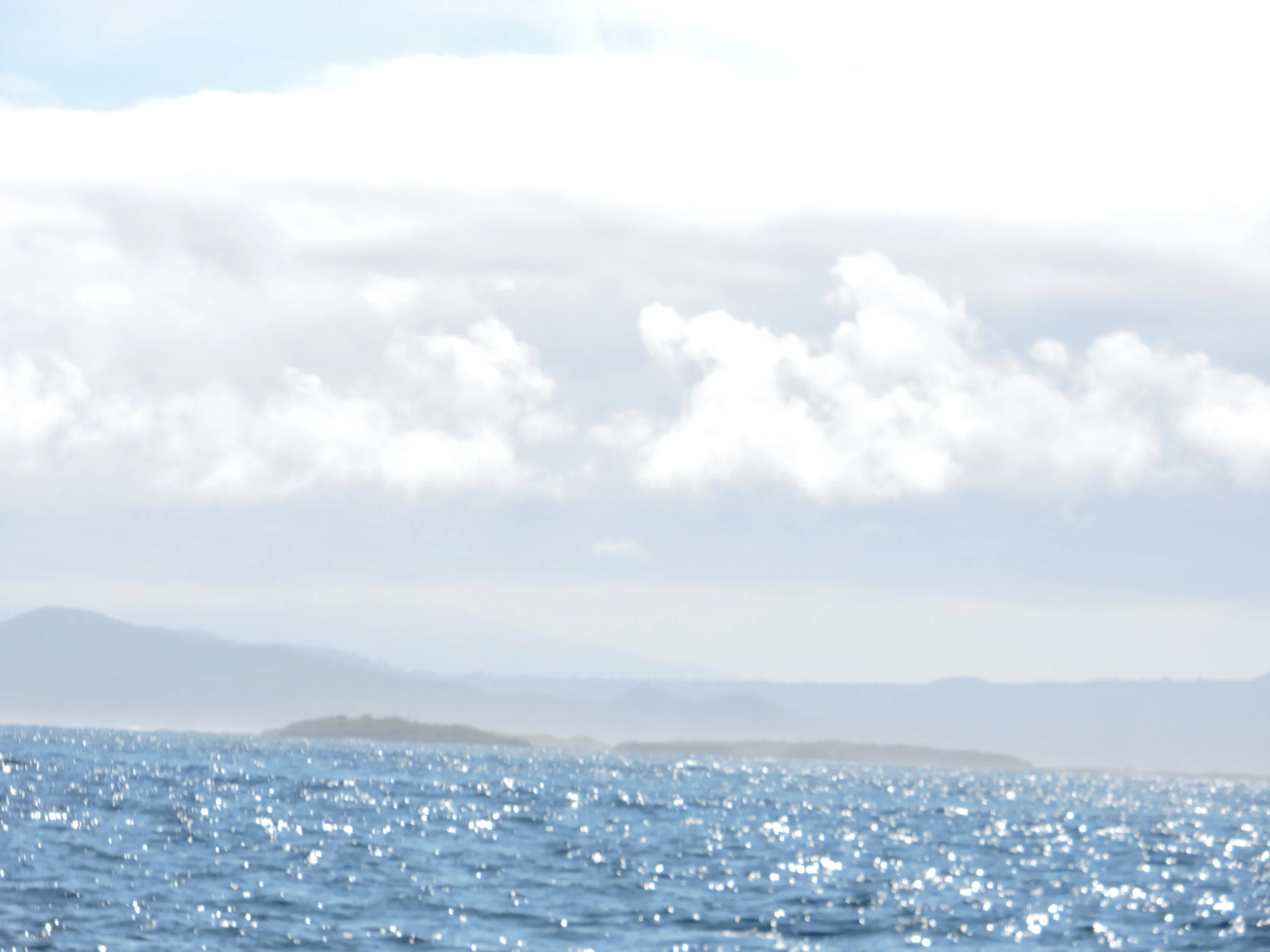 DSCN0735.JPG