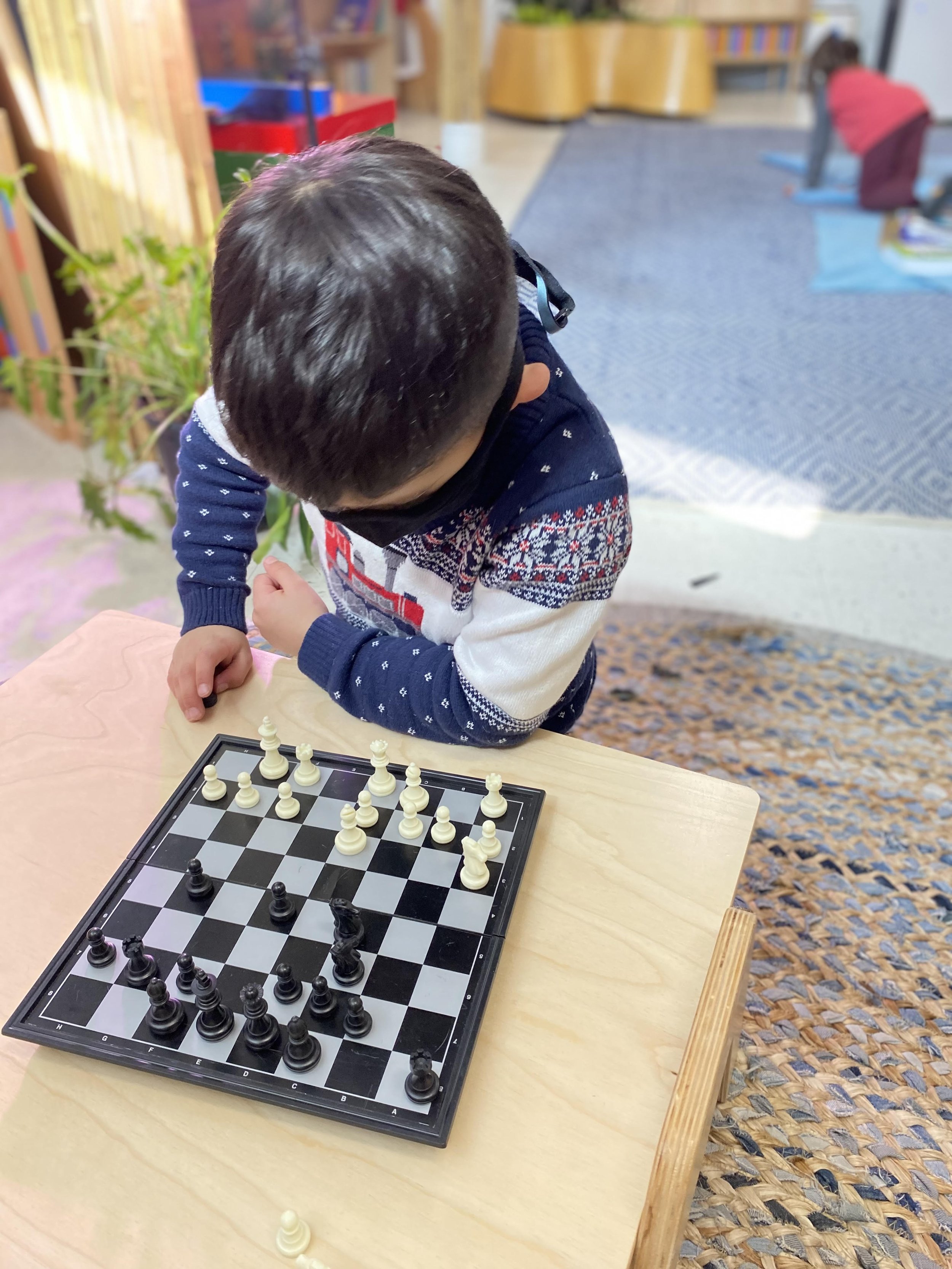 Allium Chess 1 .jpeg