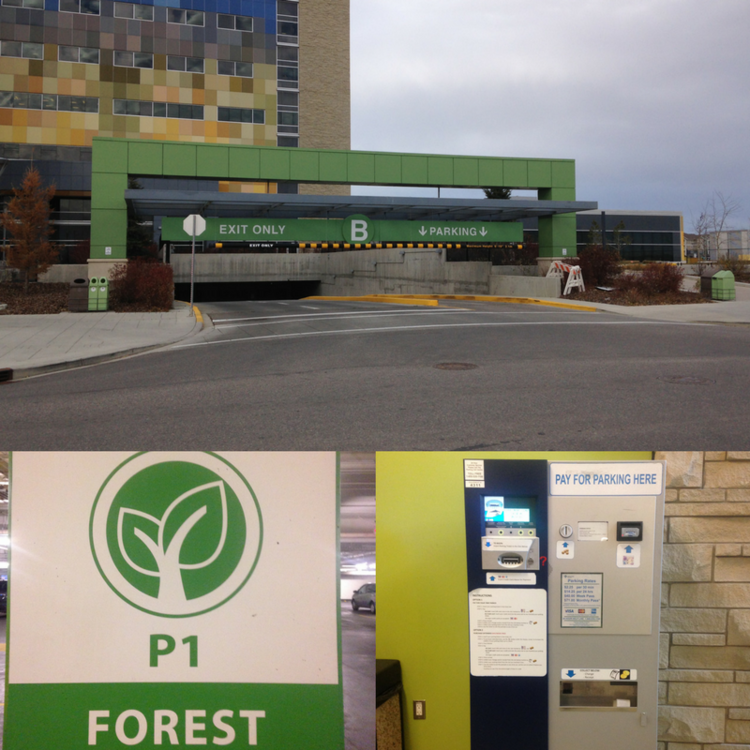 B OR FOREST LOT AT SOUTH HEALTH CAMPUS