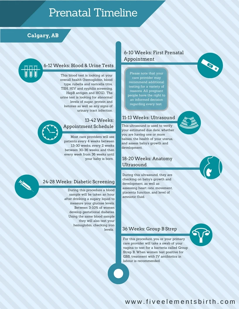 Navigating the Maternity System in Calgary Alberta Timeline.jpg