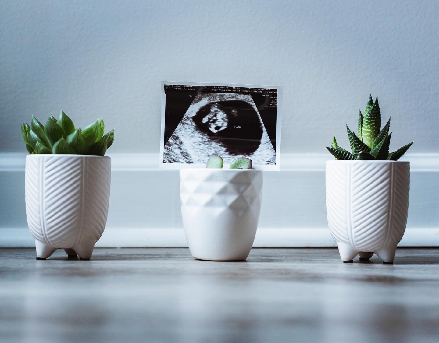 🌱 Two becomes three in September Twenty-Twenty 🌱

_________________________________________________

#babyv | #newaddition | #excited | #newparents | #fall | #baby | #sprout | #boy | #girl | #babyannoucement | #joy |