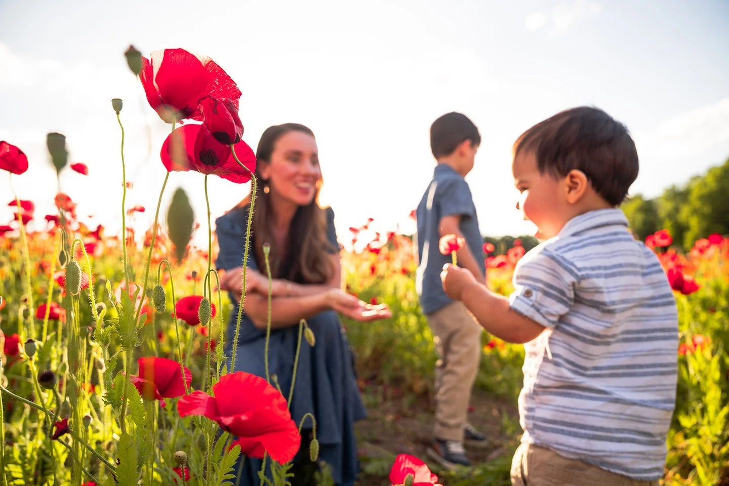 🌿✨ Spring Mini Sessions Are Here ✨🌿
Spring photos are officially open and I&rsquo;m keeping them simple, soft, and full of light this year.⁠
⁠
🌼 April 26 &ndash; Spring Garden Minis⁠
A classic spring setting with fresh greenery, soft light, and a 