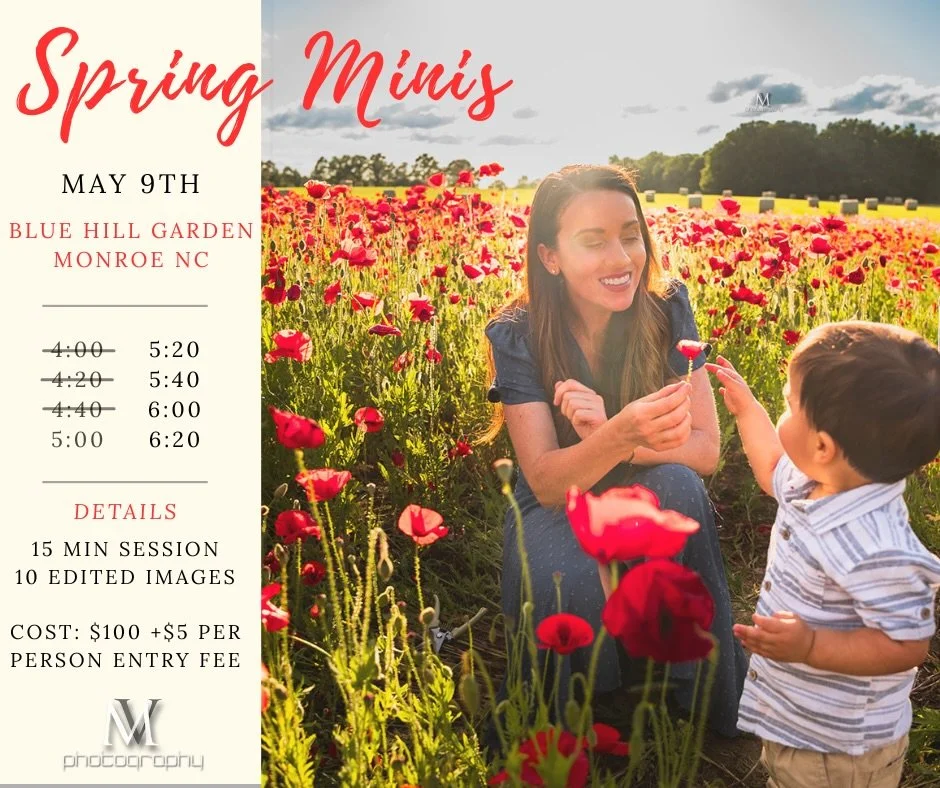 This is your reminder to book your Spring Mini Session. 

I saw a preview of the flower Field from yesterday, and things are looking dreamy. 🙏🏼