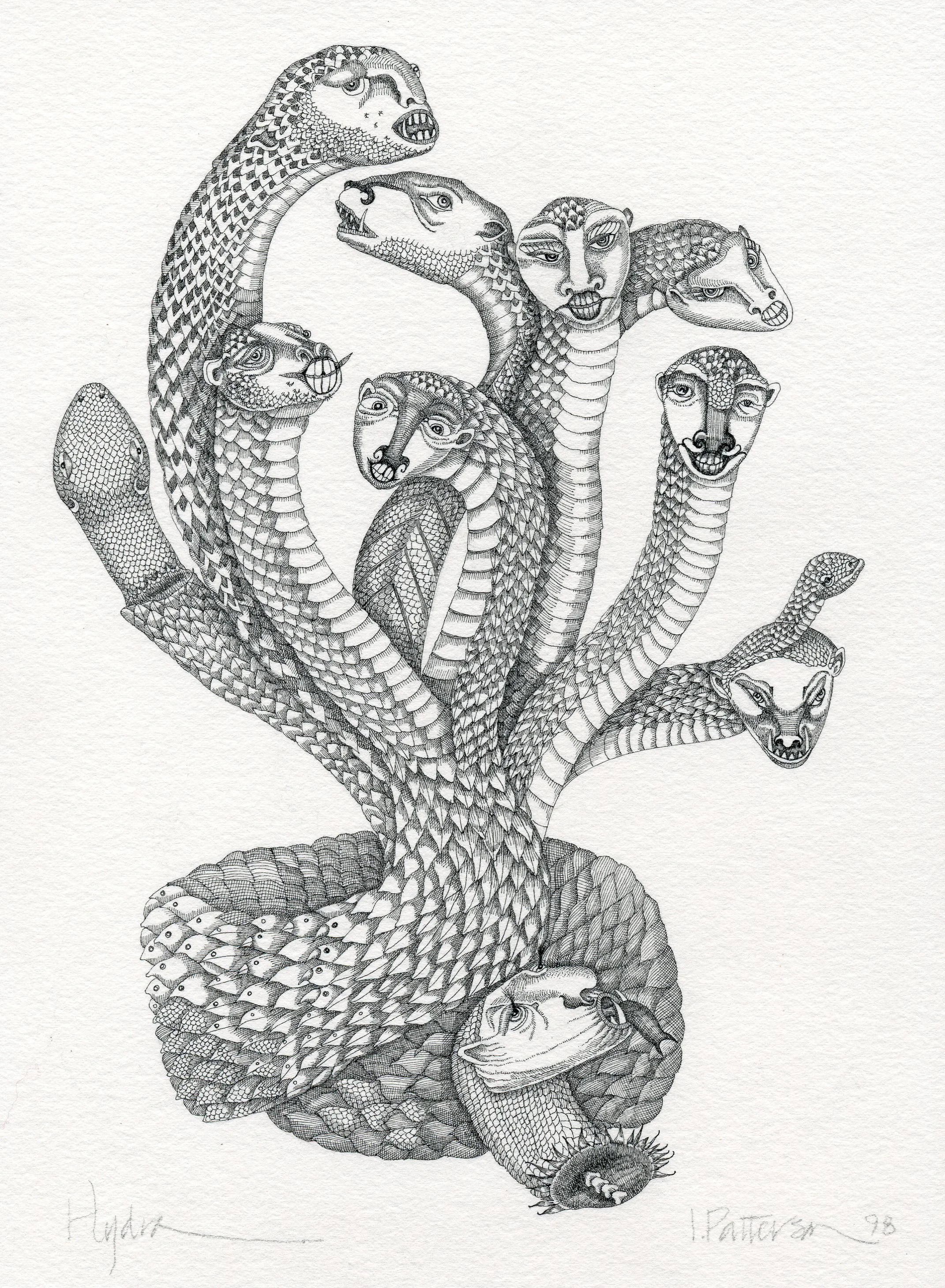 Hydra