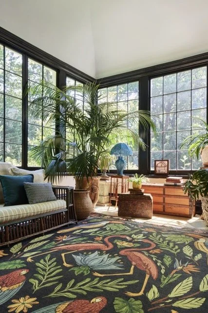 220722IRIS_ Medium.jpeg