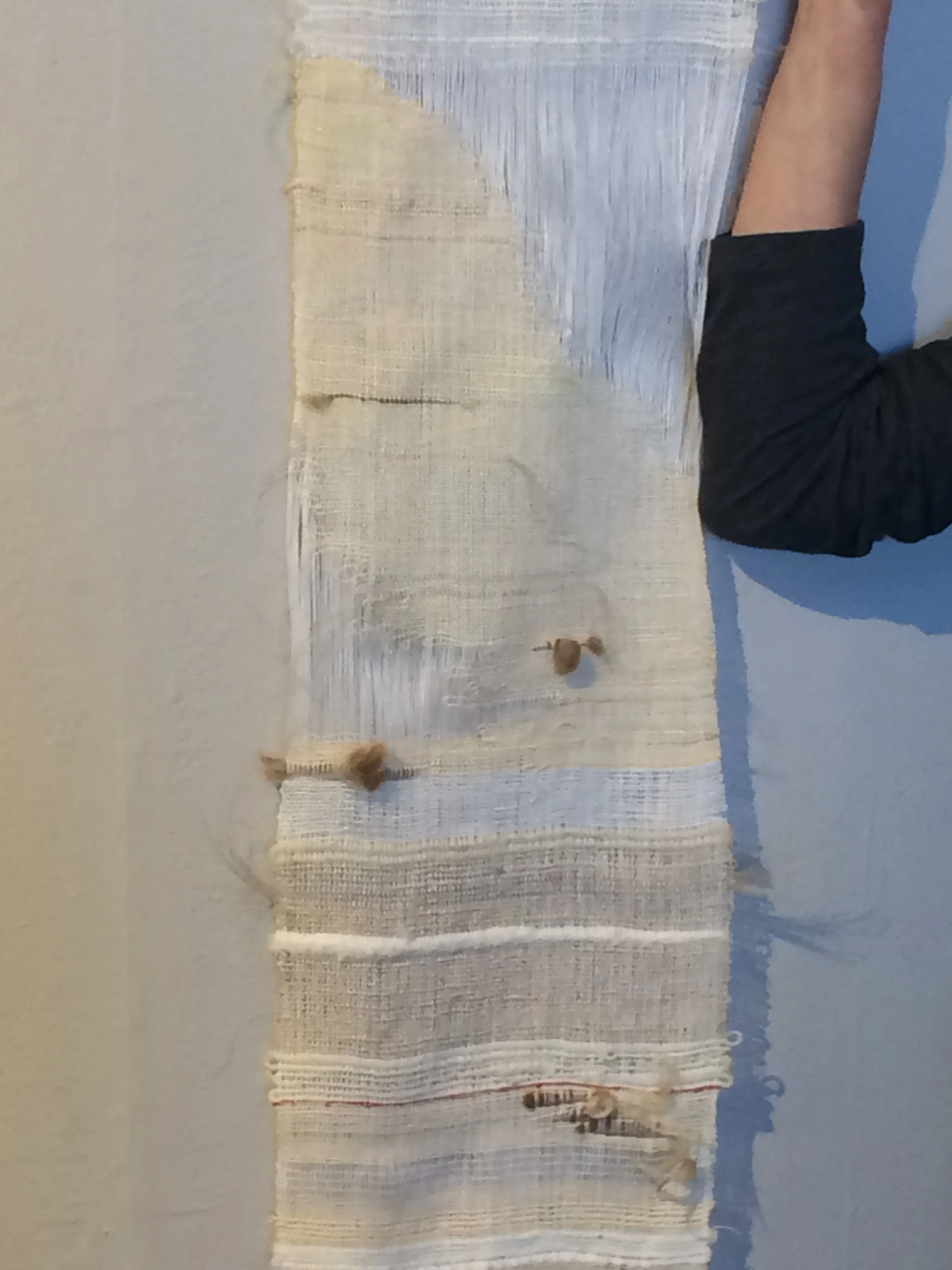 y 2018-02-18 15.03.40.jpg
