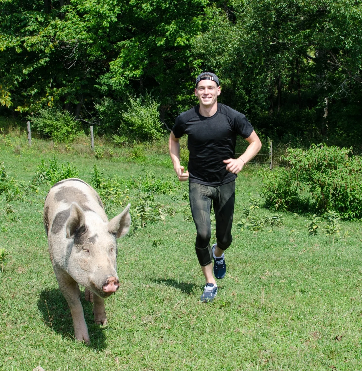 Dono & Pig.jpg