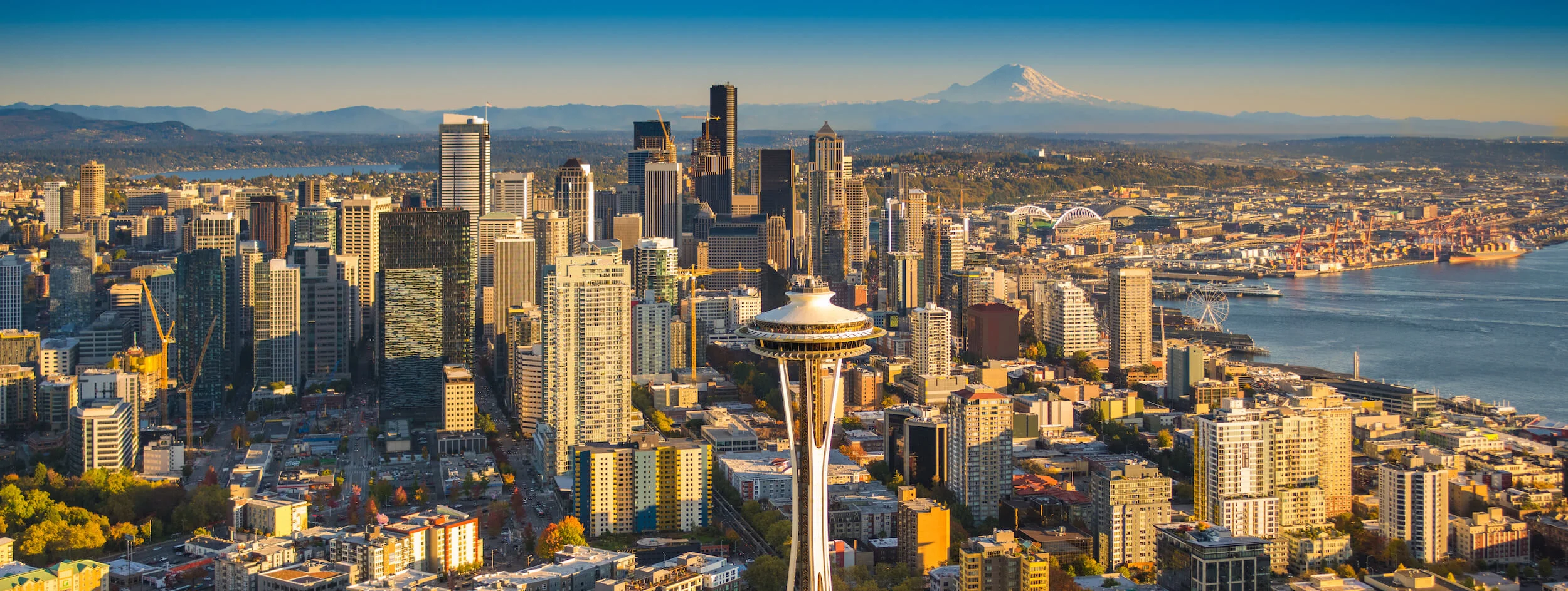 Seattle Real Estate Agent.jpeg