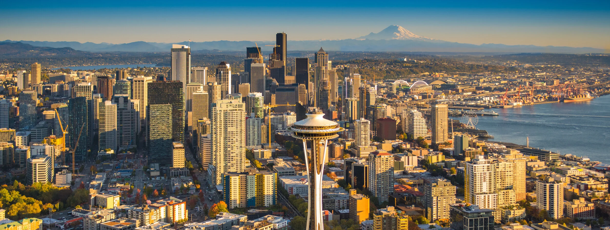 Condo vs Townhome vs House in Seattle: Which Is Right for You?