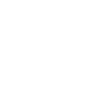Simple black and white house icon with a chimney, door, and window.