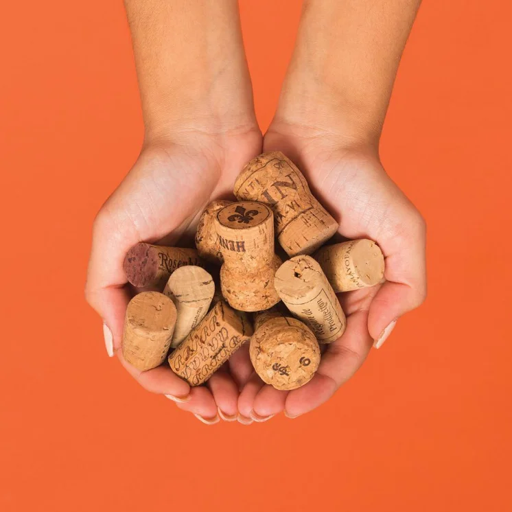 HandsHoldingCork.jpg