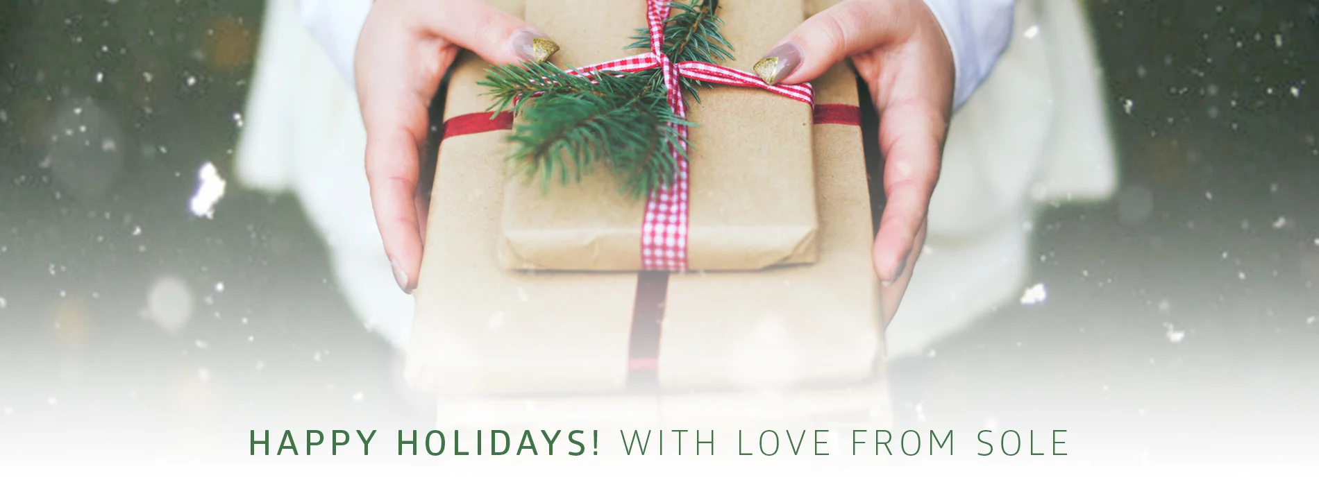 Holiday-feature-large_WEB.jpg