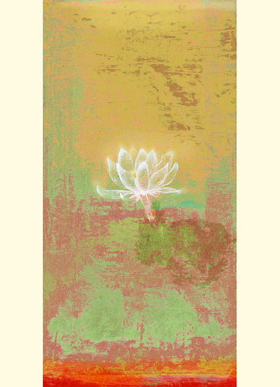 1406 Summer Lotus * available as 8x10 and 11x14 print