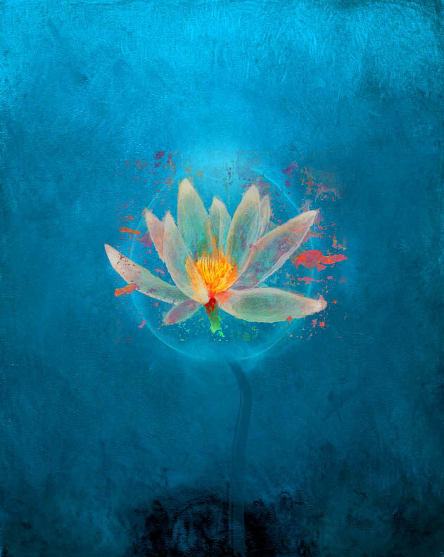 2104 Water Lily * available as 8x10 and 11x14 print
