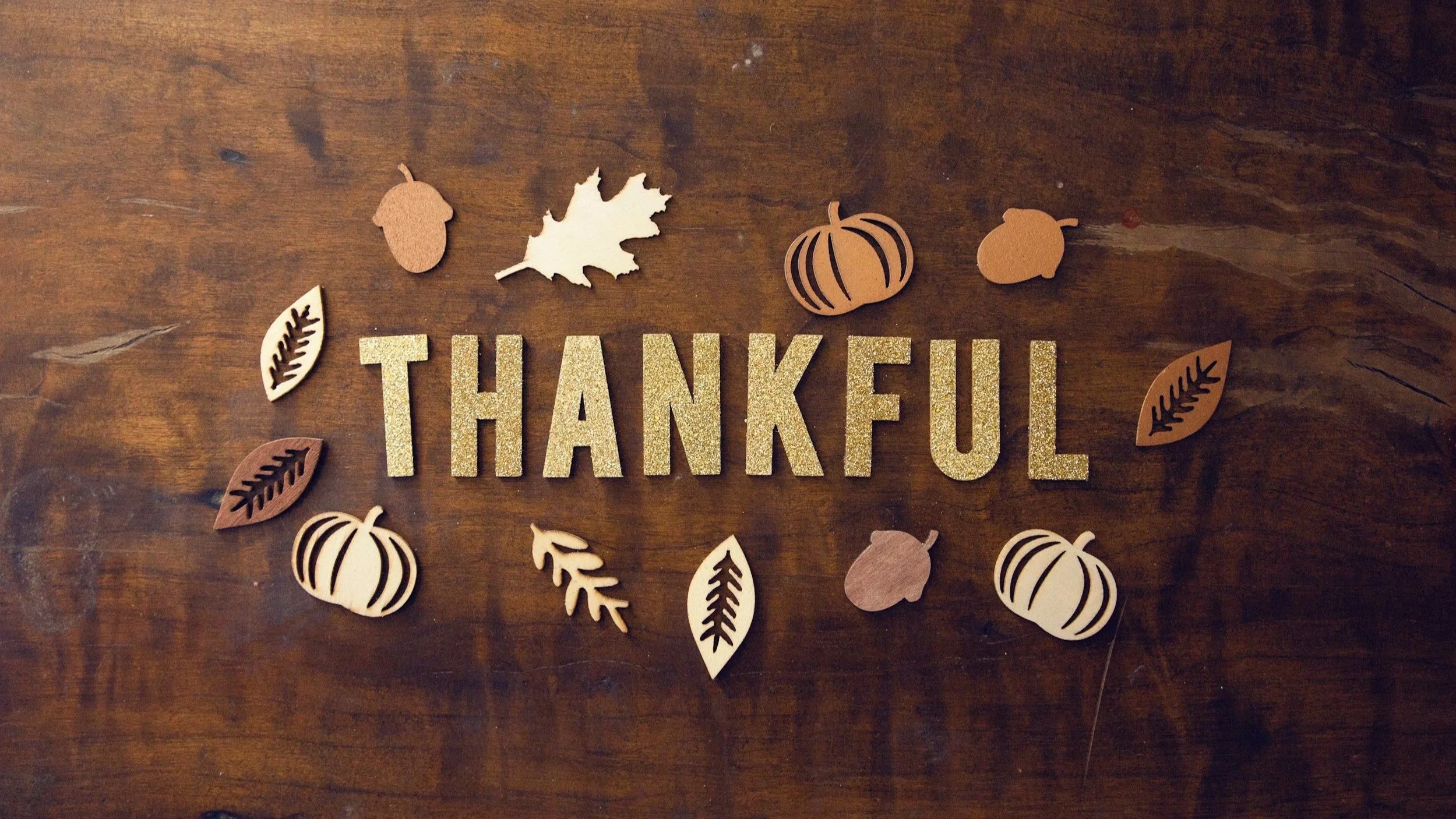 November 2025 | Monthly Newsletter