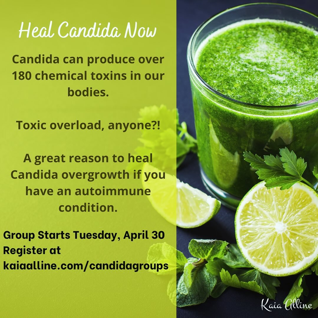 My next Candida Group begins via Meetn audio on Tuesday, April 30. There will be weekly calls  and then ongoing support in the closed Signal chat room. https://www.kaiaalline.com/Candida groups
or message me for more details. The link is also in the 
