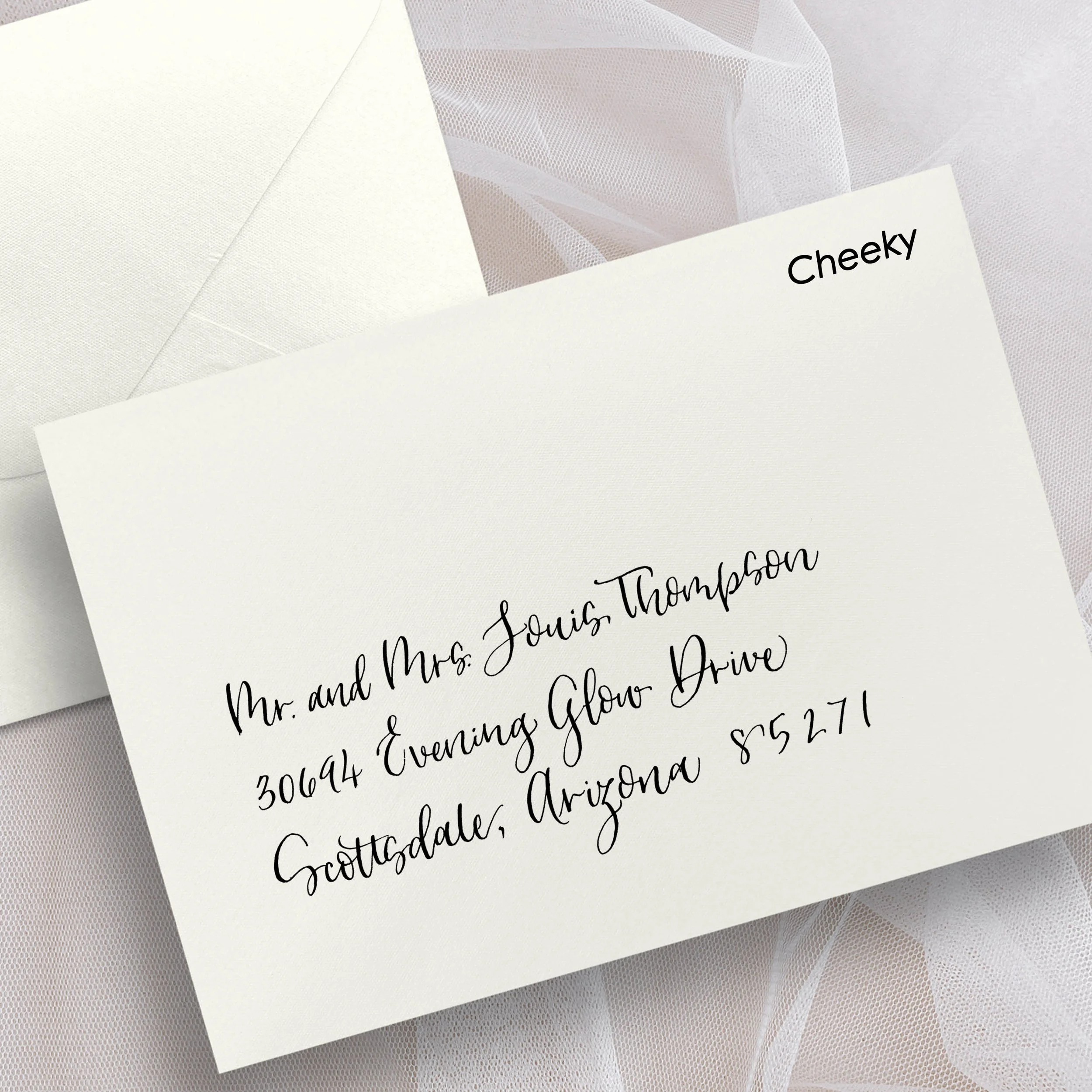 Jodean Cooper Desert Plume Calligraphy Live Event Artist Calligrapher Phoenix AZ Scottsdale Envelope Styles Cheeky.jpg