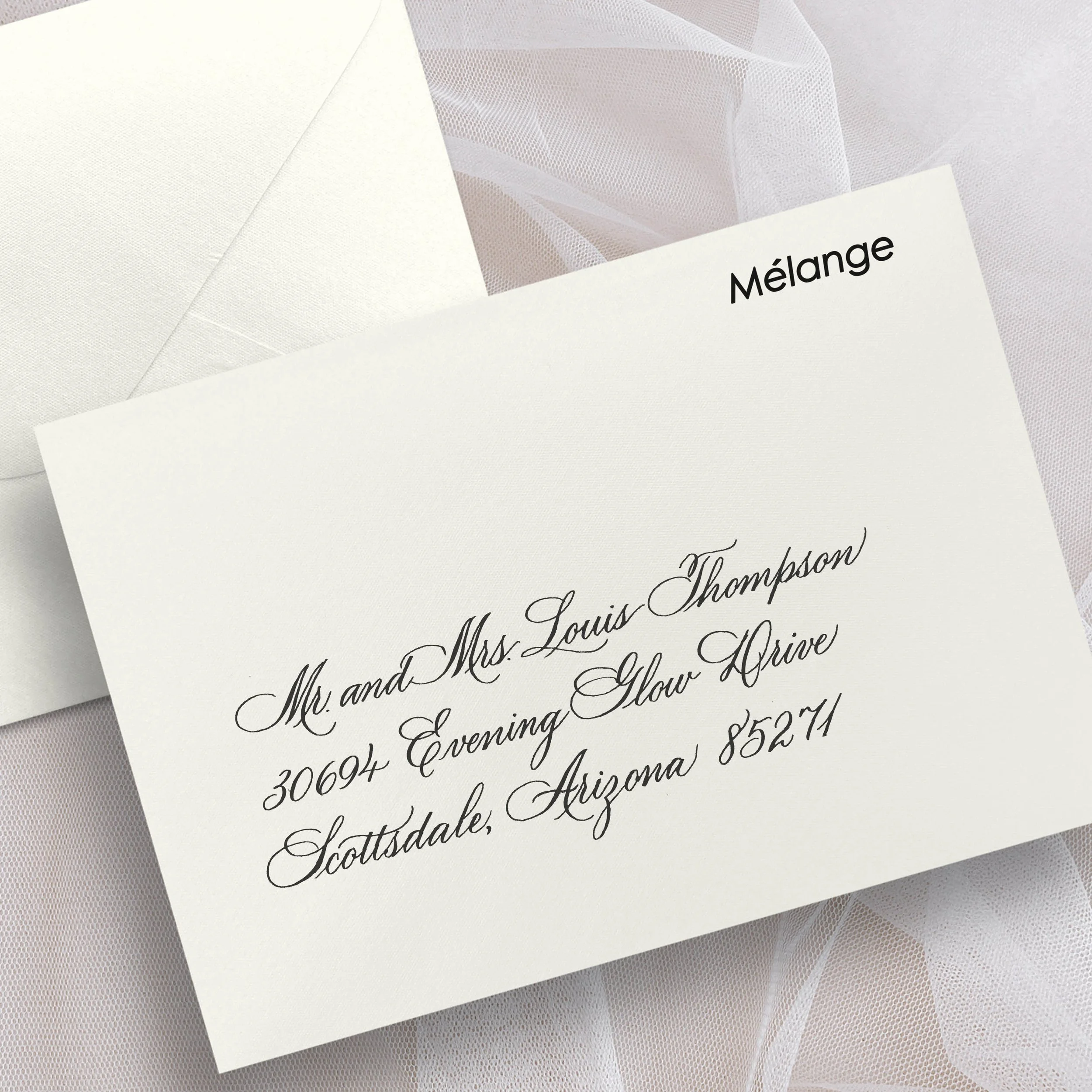 Jodean Cooper Desert Plume Calligraphy Live Event Artist Calligrapher Phoenix AZ Scottsdale Envelope Styles Melange.jpg