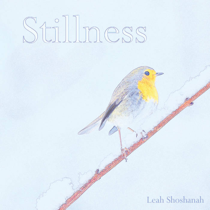 Stillness.jpg
