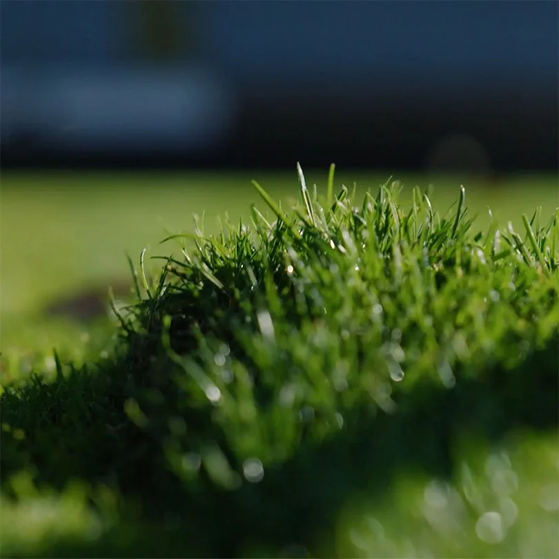 Eden Park – 3 Codes