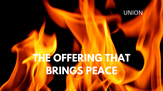 The Offering that Brings Peace