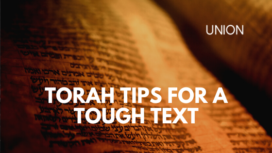 Torah Tips for a Tough Text episode artwork