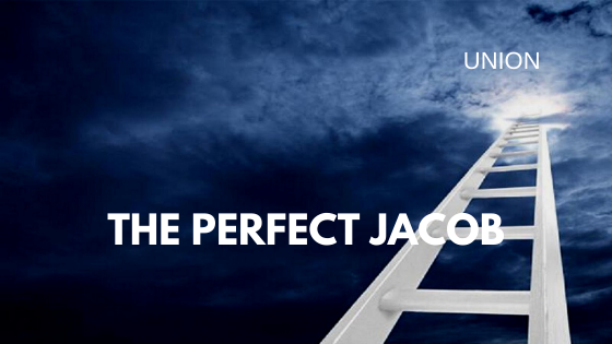 The Perfect Jacob episode artwork