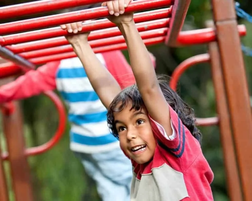 monkey-bars-1-980x980.jpg
