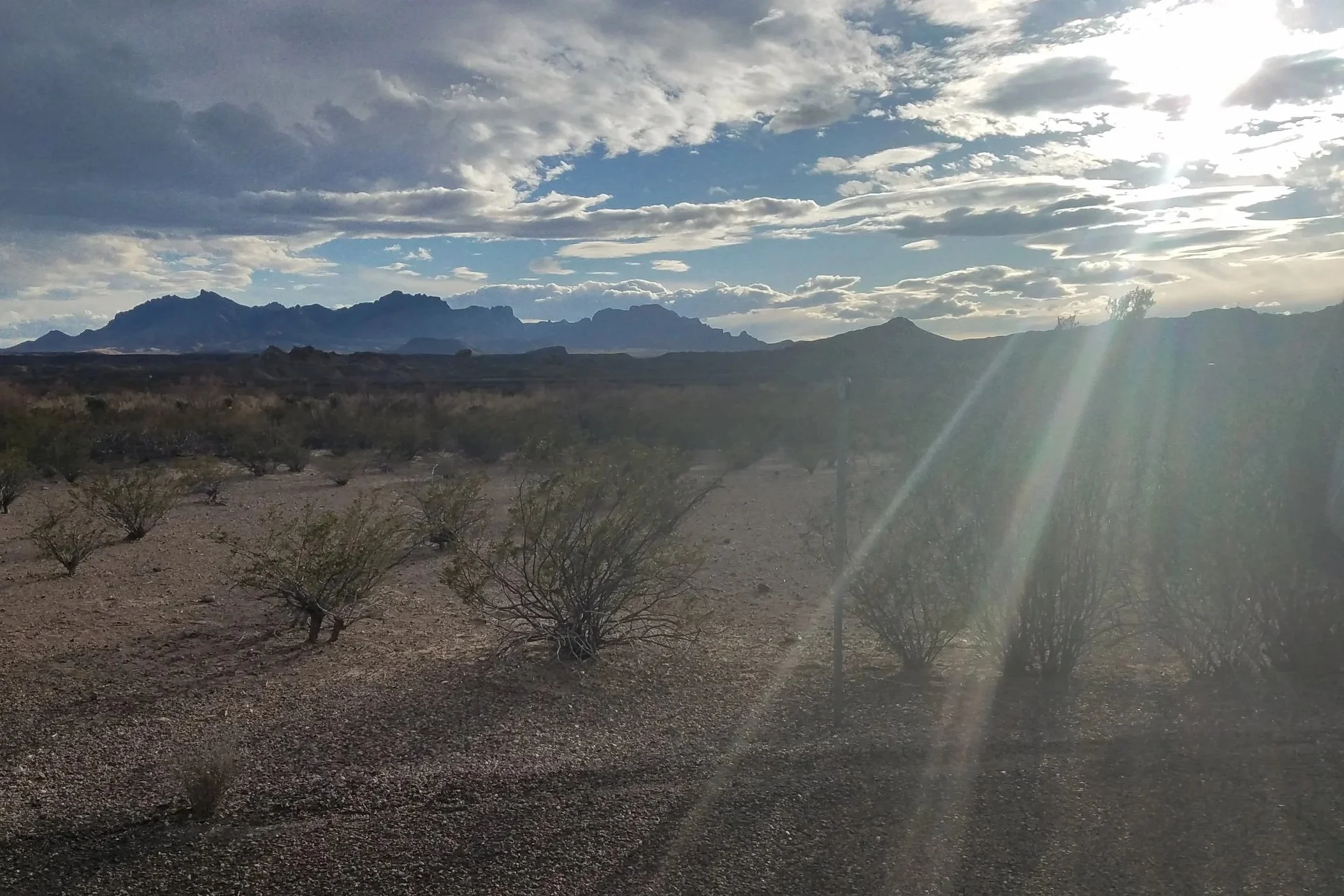 Big Bend.jpg