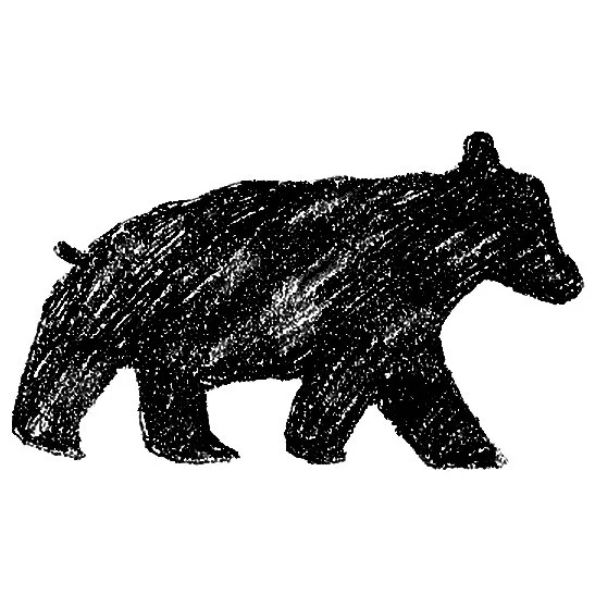 0000056542_10.jpg