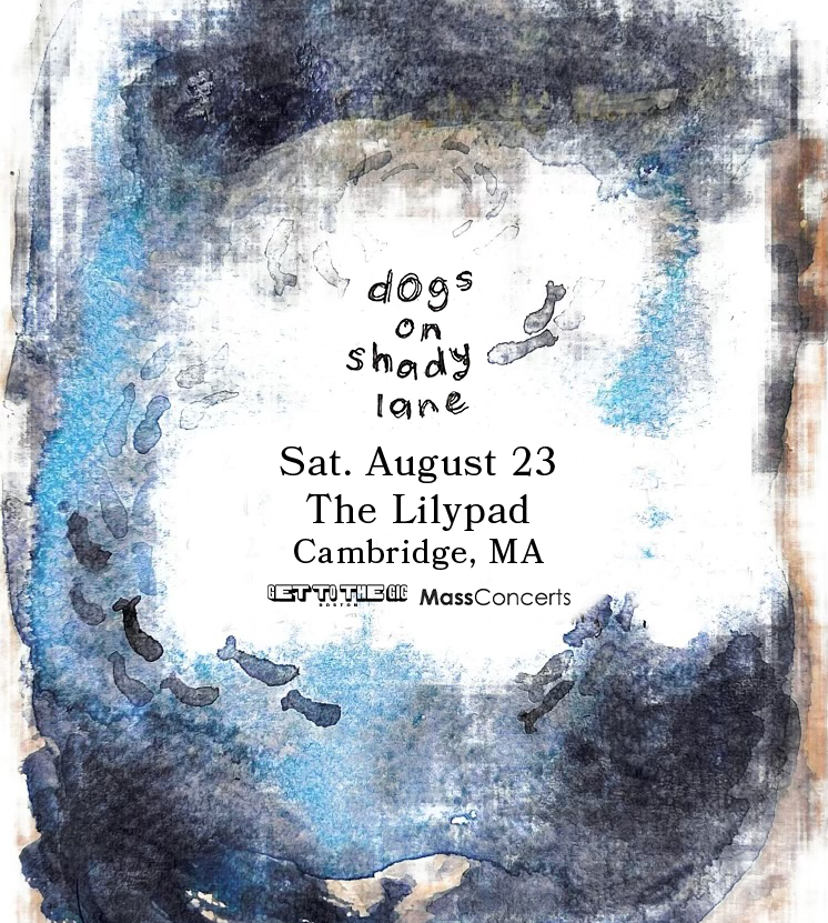 Dogs on Shady Lane with Stace Brandt