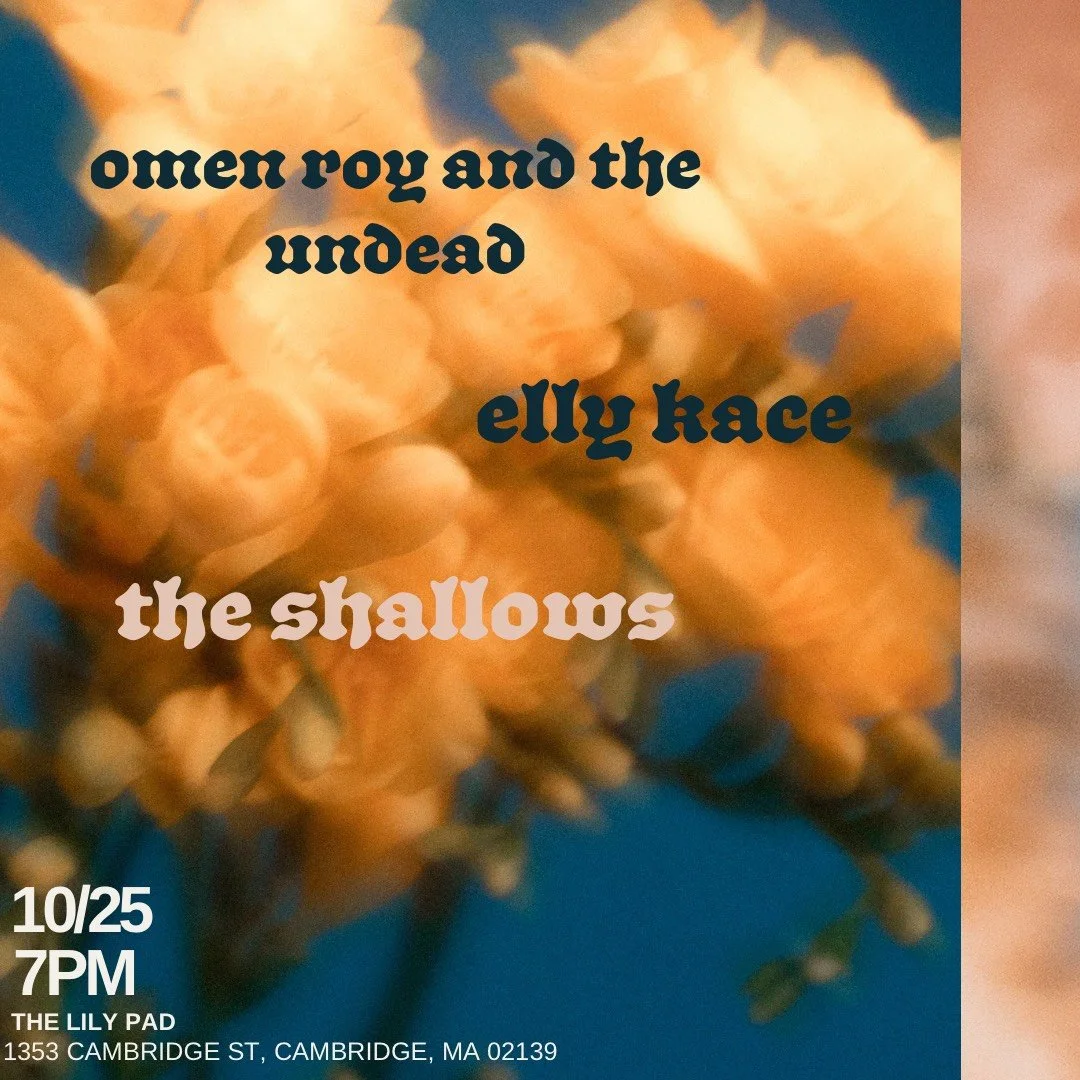 Omen Roy and the Undead | Elly Kace | The Shallows