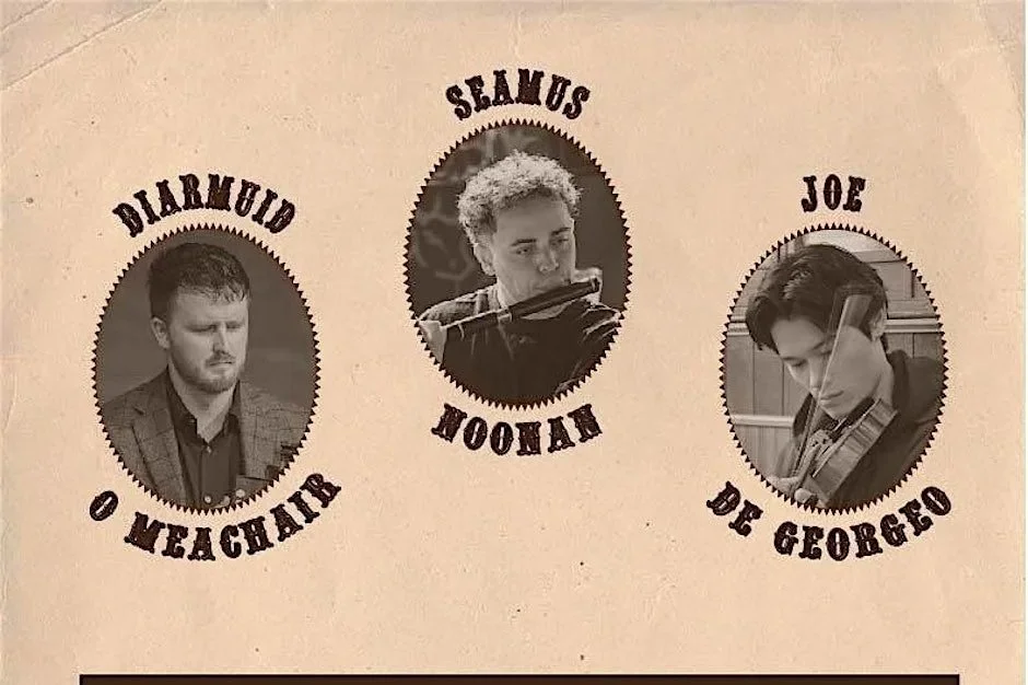 Live at the Druid with Diarmuid Ó Meachair, Seamus Noonan & Joe De Georgeo
