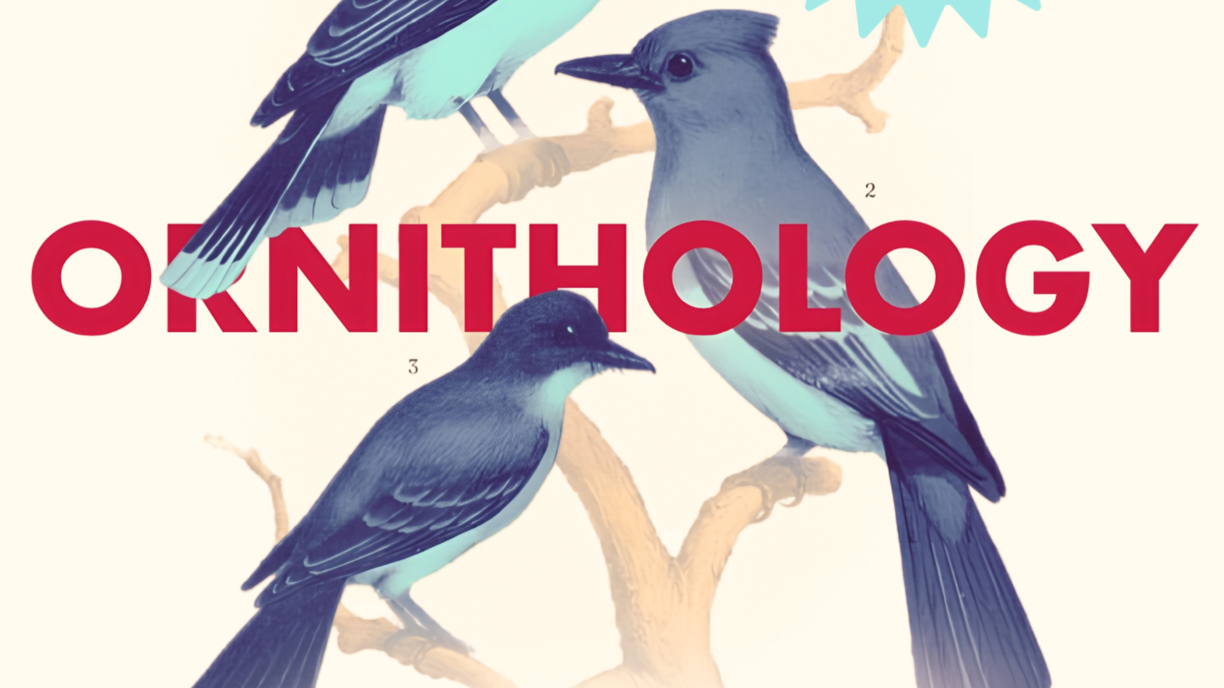 Ornithology - A Comedy Variety Show with Live Music