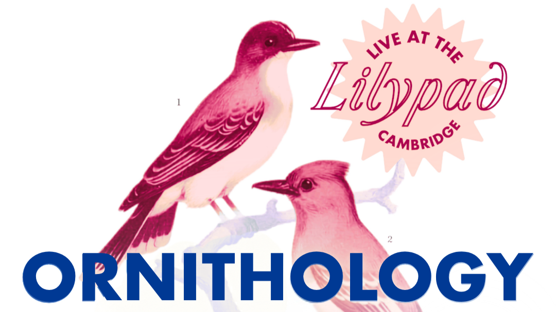 Ornithology - A Stand-Up Comedy Show with Live Music